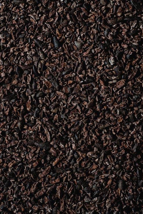 Cacao nibs