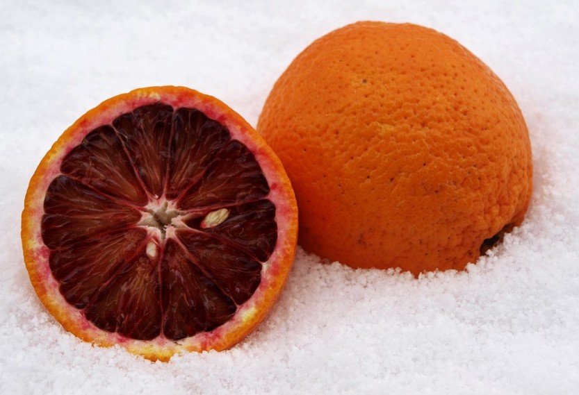 sliced blood orange