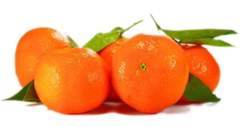 tangerine oranges